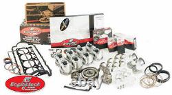 BIG Block Fits Chevy 396 Engine Rebuild Kit by Engintech 1967-1969